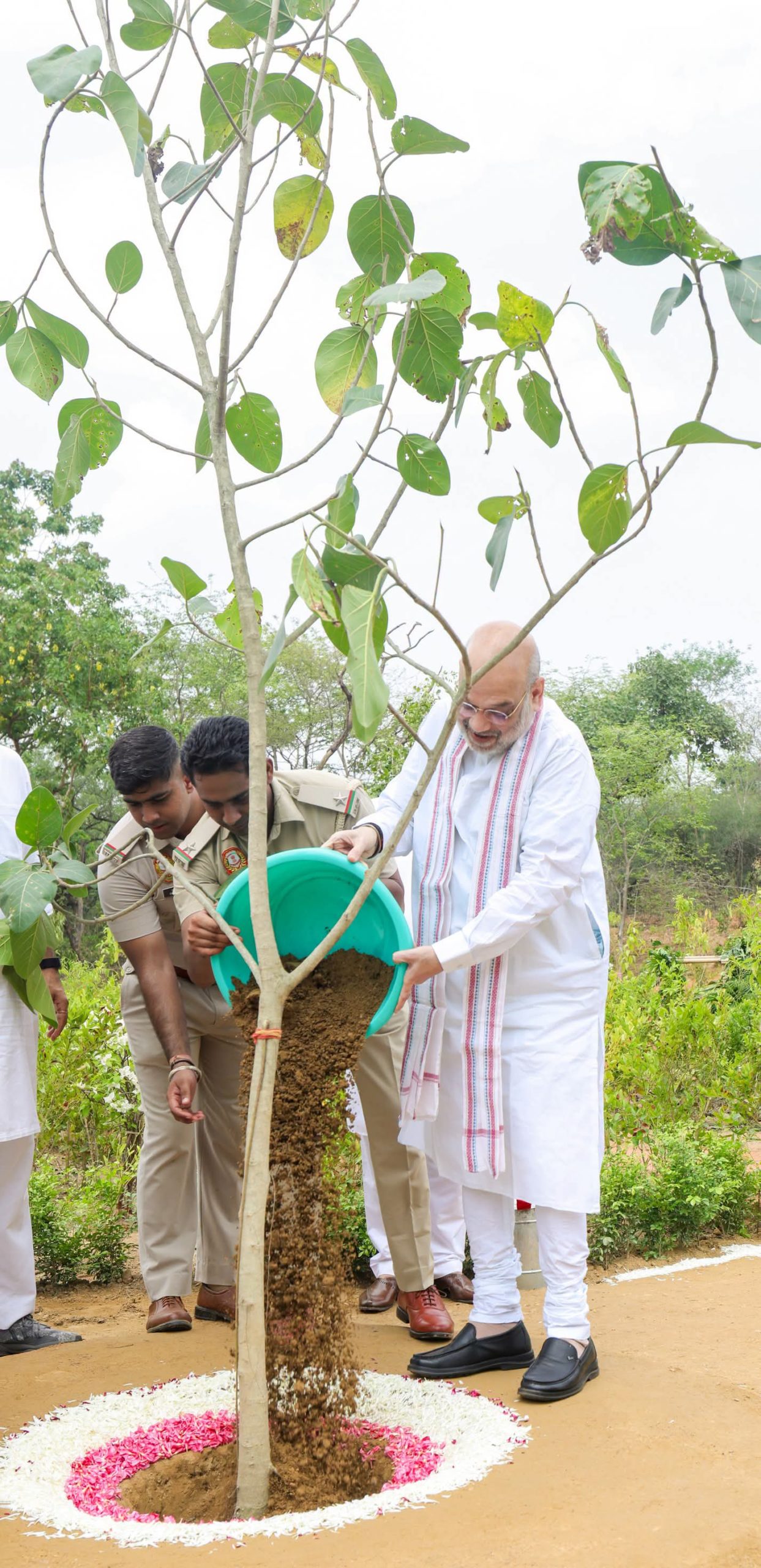 দিল্লি রিজে বৃক্ষ রোপণ অভিযানে অংশ নিলেন কেন্দ্রীয় স্বরাষ্ট্রমন্ত্রী অমিত শাহ