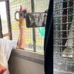 সিজেপি আন্দোলনে উত্তাল দিল্লি, সাউথ অ্যাভিনিউ থেকে আটক মমতা বন্দ্যোপাধ্যায়, প্রিজন ভ্যানে বসেই ফেসবুক লাইভে গাইলেন ‘আঁখো মে ভর লো পানি’